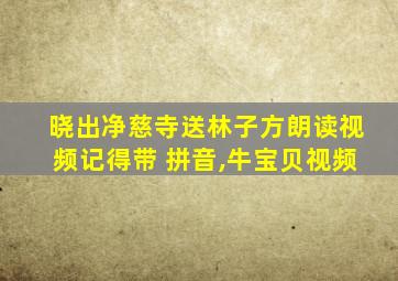 晓出净慈寺送林子方朗读视频记得带 拼音,牛宝贝视频